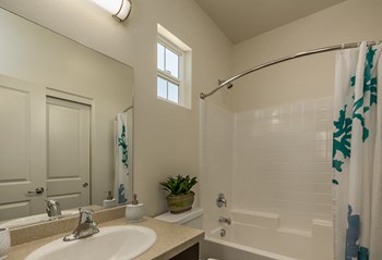 CasaLago Eastlake Bathroom